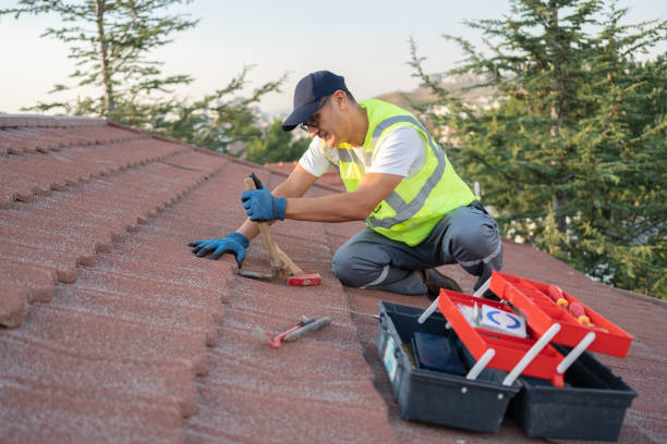 Best Flat Roof Repair Services  in Clive, IA