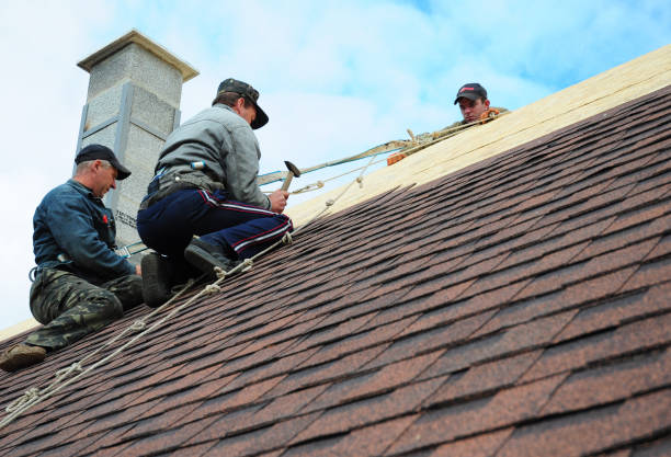 Best Roof Waterproofing Services  in Clive, IA